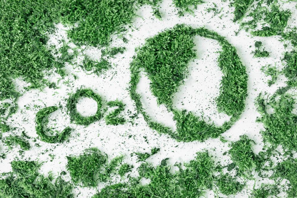Low-Carbon Energy